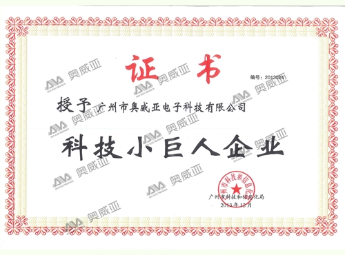 科技小巨人企业